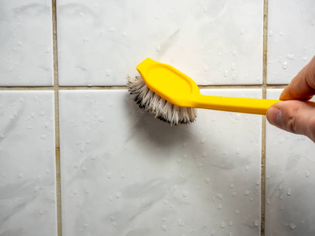 Best Office Mold Removal Services  in Jessup, PA