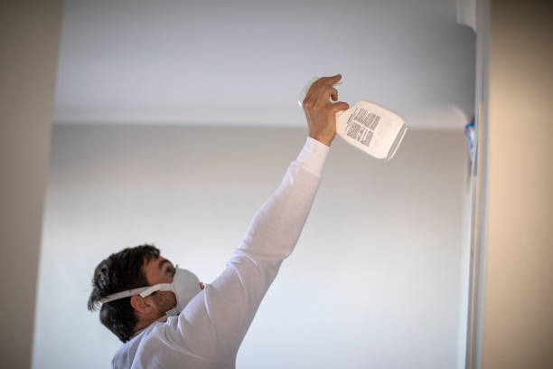Best Black Mold Removal  in Jessup, PA
