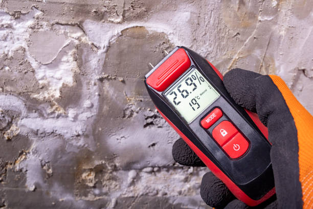 Best Local Mold Removal Service  in Jessup, PA
